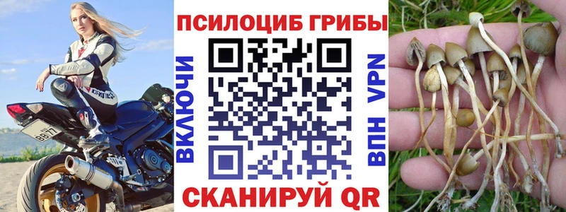 Купить закладки  Киселёвск  Псилоцибиновые грибы ЛСД 